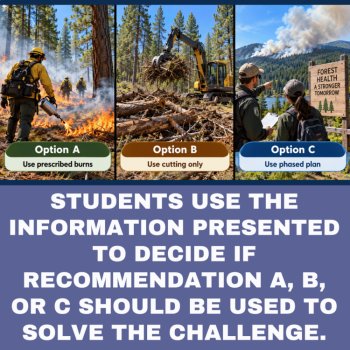 Prescribed Burns Decision Challenge | Forest Management, Forest Fire Management, image 4