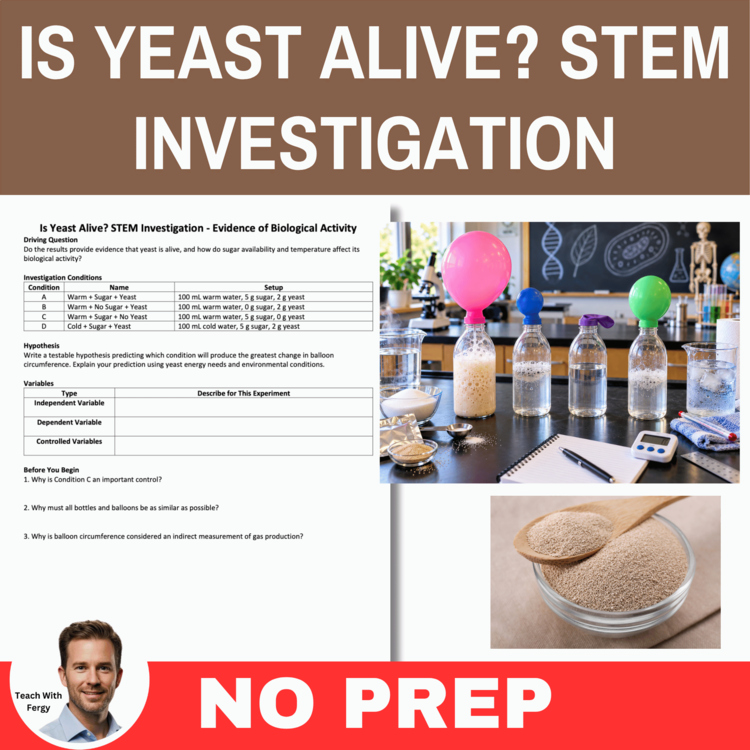 Is Yeast Alive? STEM Investigation | What Makes Something Alive?