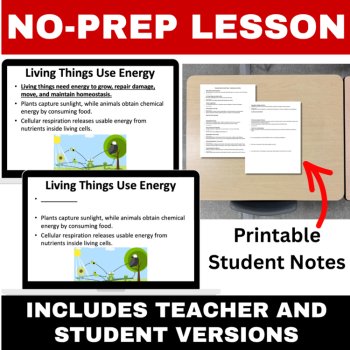 Characteristics of Living Things Lesson Bundle | What is Life, Living, Nonliving, image 4