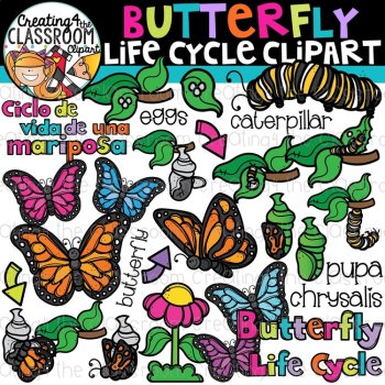Life Cycles Clipart Bundle {Life Cycles Clipart}, image 2