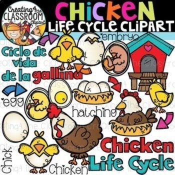 Life Cycles Clipart Bundle {Life Cycles Clipart}, image 3