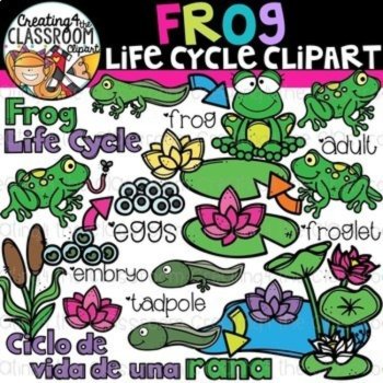 Life Cycles Clipart Bundle {Life Cycles Clipart}, image 4