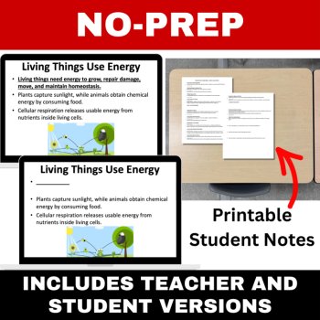 Characteristics of Living Things Lesson | Living vs Nonliving | 6, 7, 8th Grade, image 3
