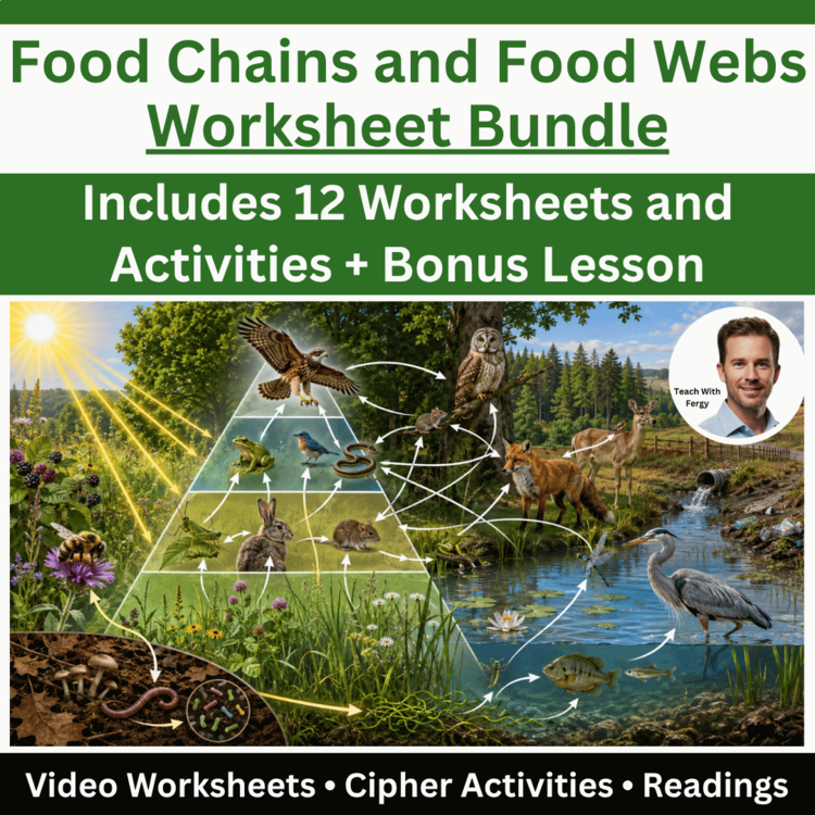 Food Chains and Food Webs Worksheet Bundle + Energy Flow in Ecosystems Lesson