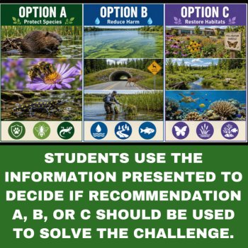 Real World Ecology Decision Challenges Bundle | Ecosystems Activity, image 4