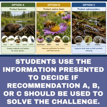 Species Protection Ecology Decision Challenge | Biodiversity, Keystone Species, image 4