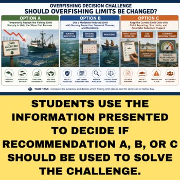 Overfishing Ecology Decision Challenge Activity | Population, Sustainability, image 4