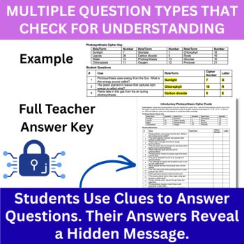 Introductory Photosynthesis Cipher Puzzle - Ecology Activity | Chlorophyll, image 4