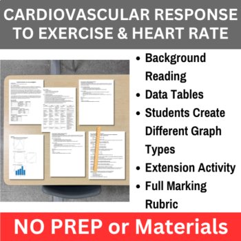 Human Body Systems & Physiology Data Graphing Lab Bundle | HIGH SCHOOL, image 2