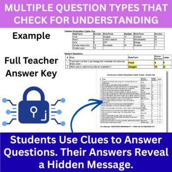 Introductory Cellular Respiration Cipher Puzzle - Ecology Activity | ATP, Energy, image 4