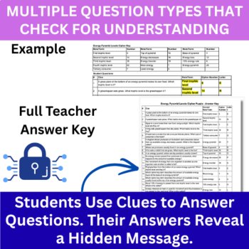 Energy Pyramid Levels Cipher Puzzle - Ecology Activity | Trophic Levels, Energy, image 4