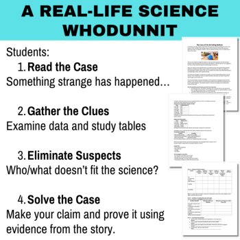 The Case of the Shrinking Balloon - Physical & Chemical Change Activity, image 2