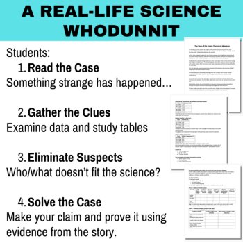The Case of the Foggy Classroom Windows - Physical & Chemical Change Activity, image 2