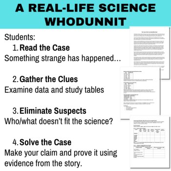 The Case of the Corroded Bike Rack - Physical and Chemical Change Investigation, image 2