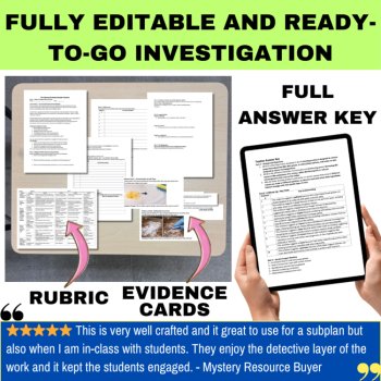 The Household Cleaning Products Reaction Mystery – Chemistry Detective Activity, image 4