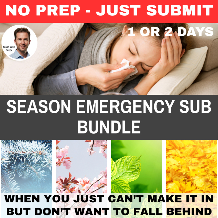 The Seasons Emergency Sub Plans | 2 Days | Middle School | No Prep Activities