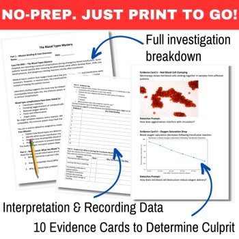The Blood Types Mystery – Detective SUB PLAN | ABO, Rh factor, Body Systems, image 3