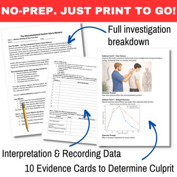 The Musculoskeletal System Injury Mystery – Detective SUB PLAN | Bones, Tendons, image 3