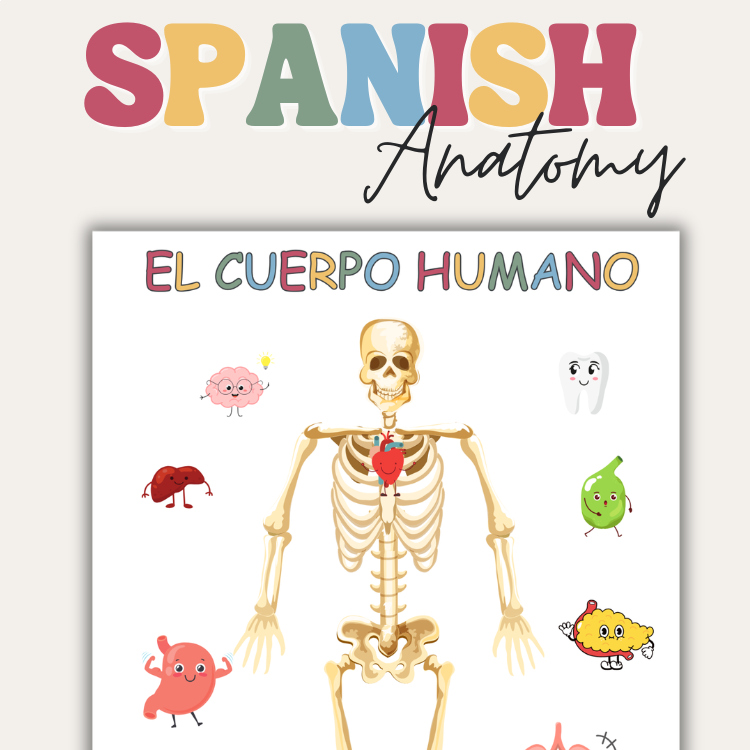 Spanish Anatomy Busy Book, Spanish Body Parts, Preschool Homeschool Printable