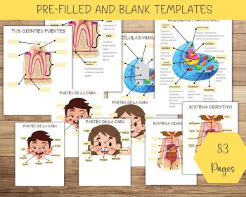 Spanish Anatomy Busy Book, Spanish Body Parts, Preschool Homeschool Printable, image 3