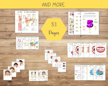 Spanish Anatomy Busy Book, Spanish Body Parts, Preschool Homeschool Printable, image 4