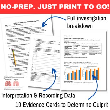 Human Body Systems and Health Detective Mystery Bundle | Activity SUB PLAN, image 3