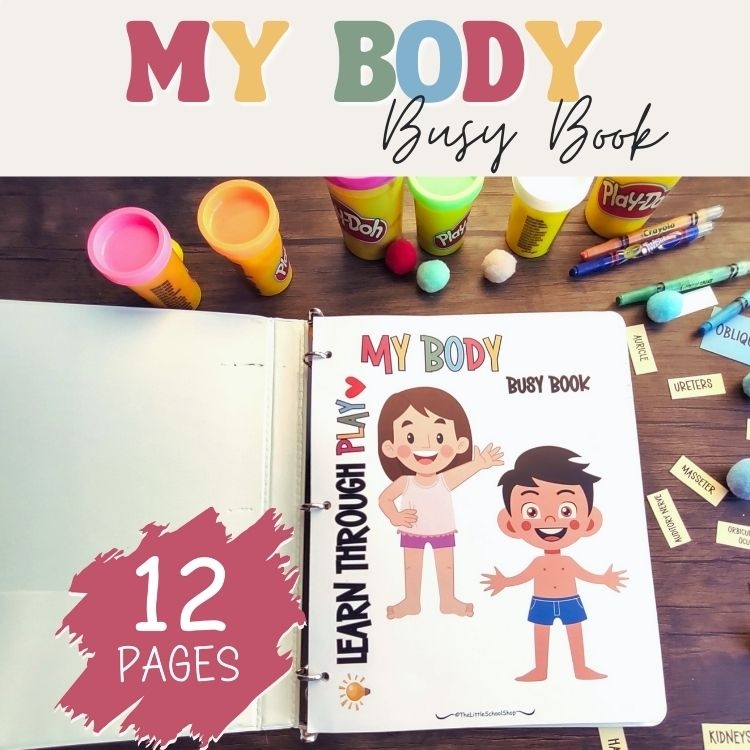 Body Parts Anatomy Busy Book Quiet Book Preschool ElementaryHomeschool Printable
