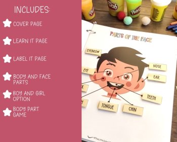 Body Parts Anatomy Busy Book Quiet Book Preschool ElementaryHomeschool Printable, image 3