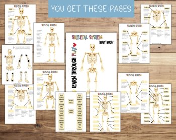 Skeletal System Anatomy Busy Book Quiet Book Preschool Elementary Homeschool, image 4