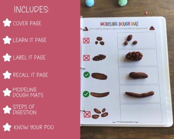 Digestive System Anatomy Busy Book Quiet Book Preschool, image 3