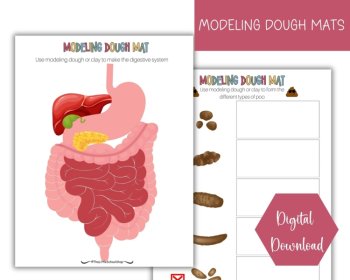 Digestive System Anatomy Busy Book Quiet Book Preschool, image 4