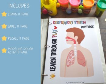 Human Anatomy Busy Book Preschool Elementary Homeschool Respiratory System, image 3