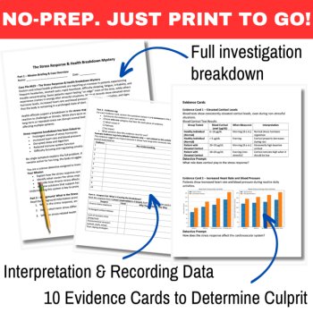 The Stress Response & Health Breakdown Mystery – Detective SUB PLAN | Systems, image 3
