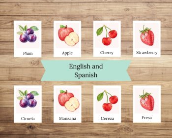 Fruit Flashcards For Preschool Flashcard Activity Montessori Cards with Spanish, image 3