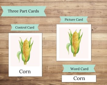 Vegetable Flashcards For Preschool Flashcards For Early Learning Montessori PDF, image 2