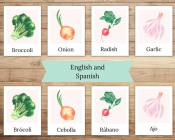Vegetable Flashcards For Preschool Flashcards For Early Learning Montessori PDF, image 3