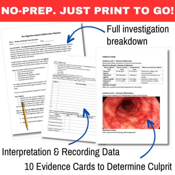 The Digestive System Malfunction Mystery – Detective SUB PLAN | Body Systems, image 3