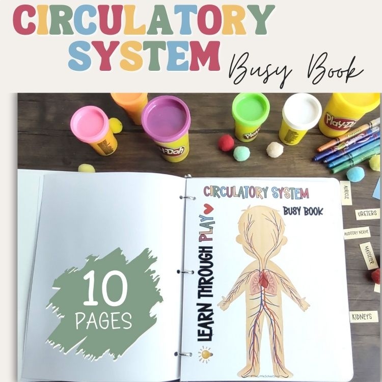 Preschool Circulatory System Busy Book