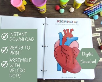 Preschool Circulatory System Busy Book, image 2