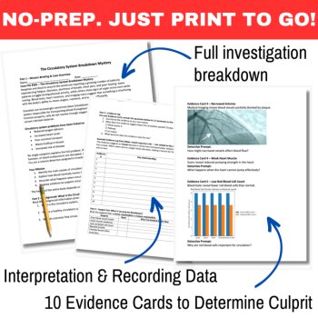 The Circulatory System Breakdown Mystery – Detective SUB PLAN | Body Systems, image 3