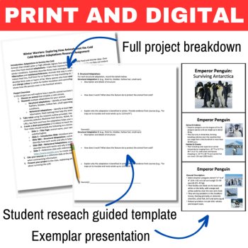Winter Weather Adaptations Ecology Research Project - Structural and Behavioral, image 2