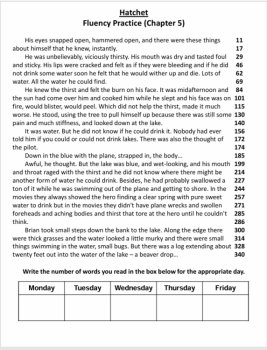 Reading Fluency Bundle HOLES/HATCHET/BUD NOT BUDDY Boost Fluency & Comprehension, image 3