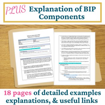 Behavior Intervention Plan Forms Template Student Behavior Documentation Form, image 4