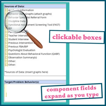 Functional Behavior Assessment Form, FBA Template, FBA Example, image 2
