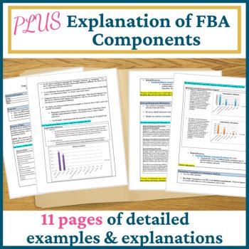 Functional Behavior Assessment Form, FBA Template, FBA Example, image 4
