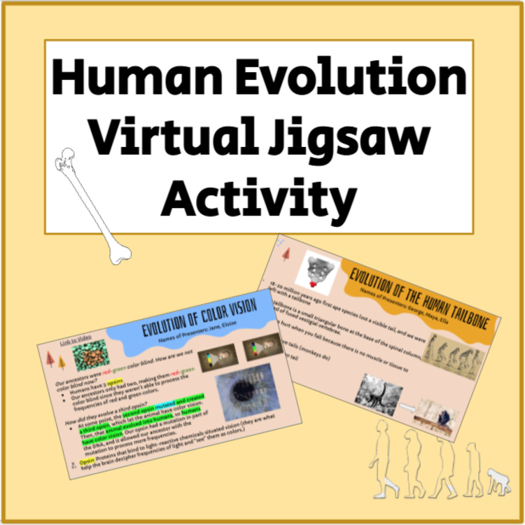 Human Evolution Virtual Jigsaw Activity