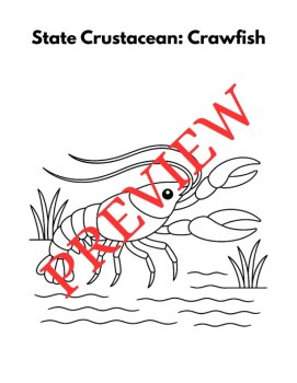 47 Louisiana State Symbols Coloring Pages (Words & Pictures), image 3