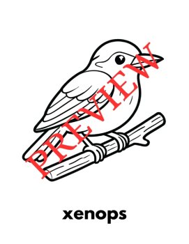 12 Letter X Coloring Pages Words & Pictures, image 4
