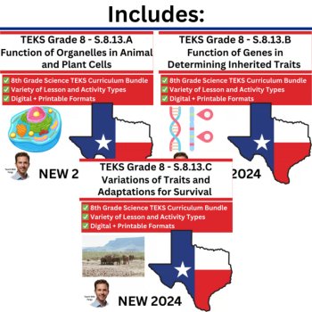S.8.13 - How Cell Functions and Adaptations Support Survival | TEKS 8th Grade, image 3
