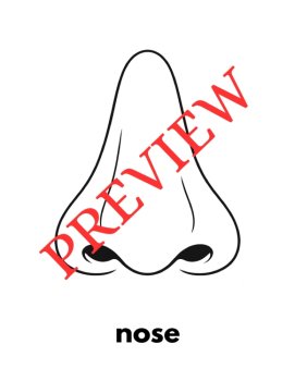 12 Letter N Coloring Pages Words & Pictures, image 3